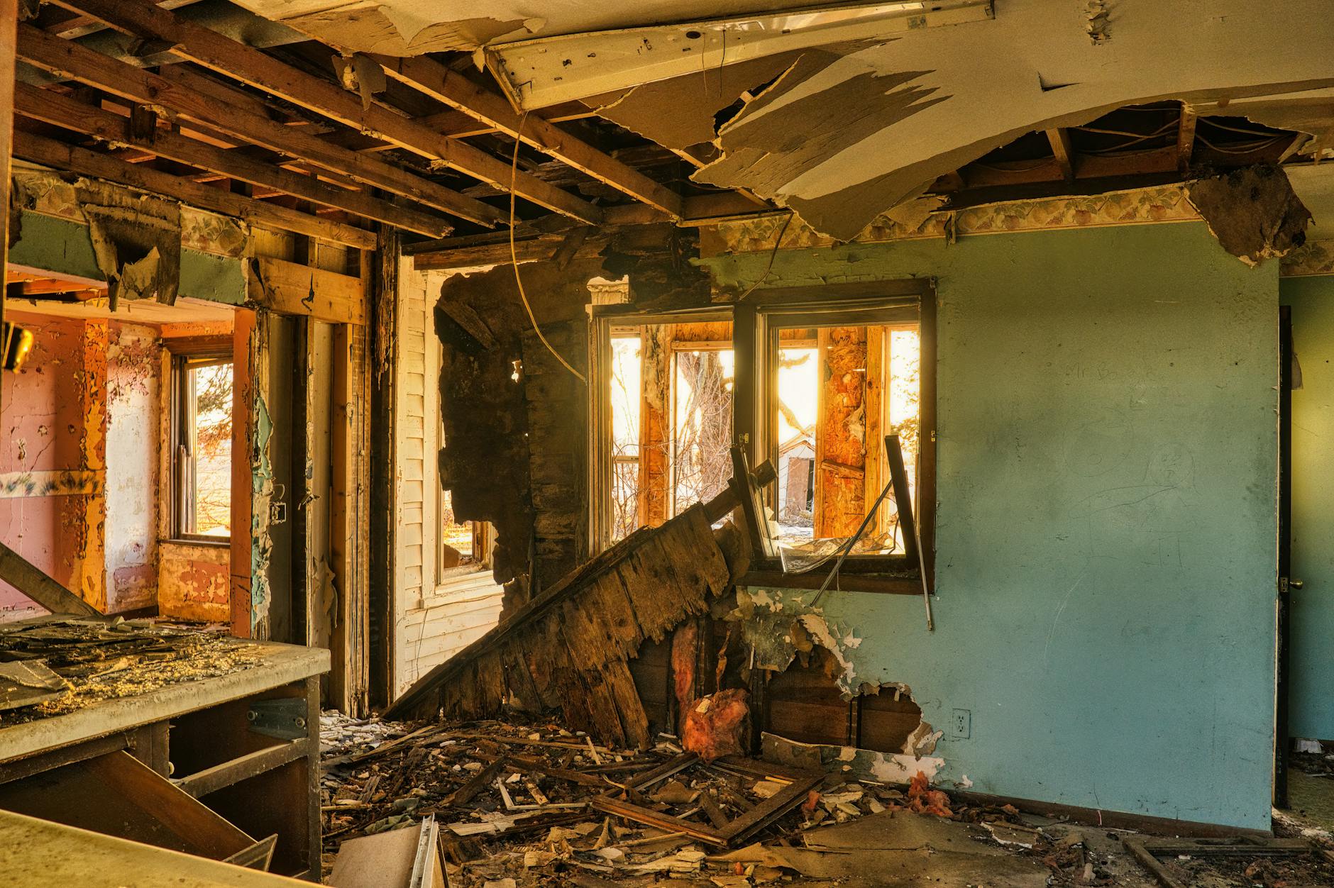 Mold Removal Mold Gallery Miami