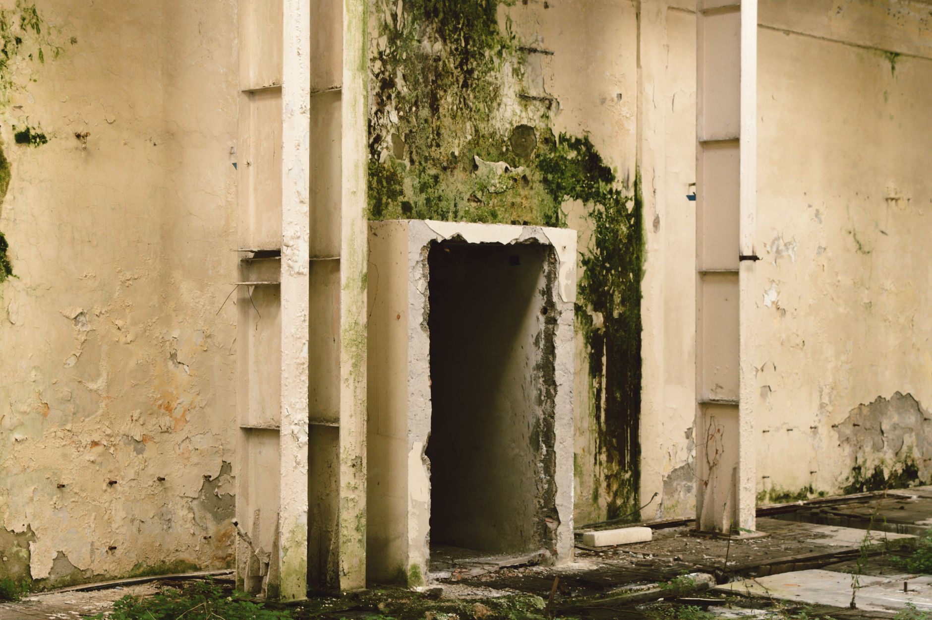 Mold Removal Hero Section Miami